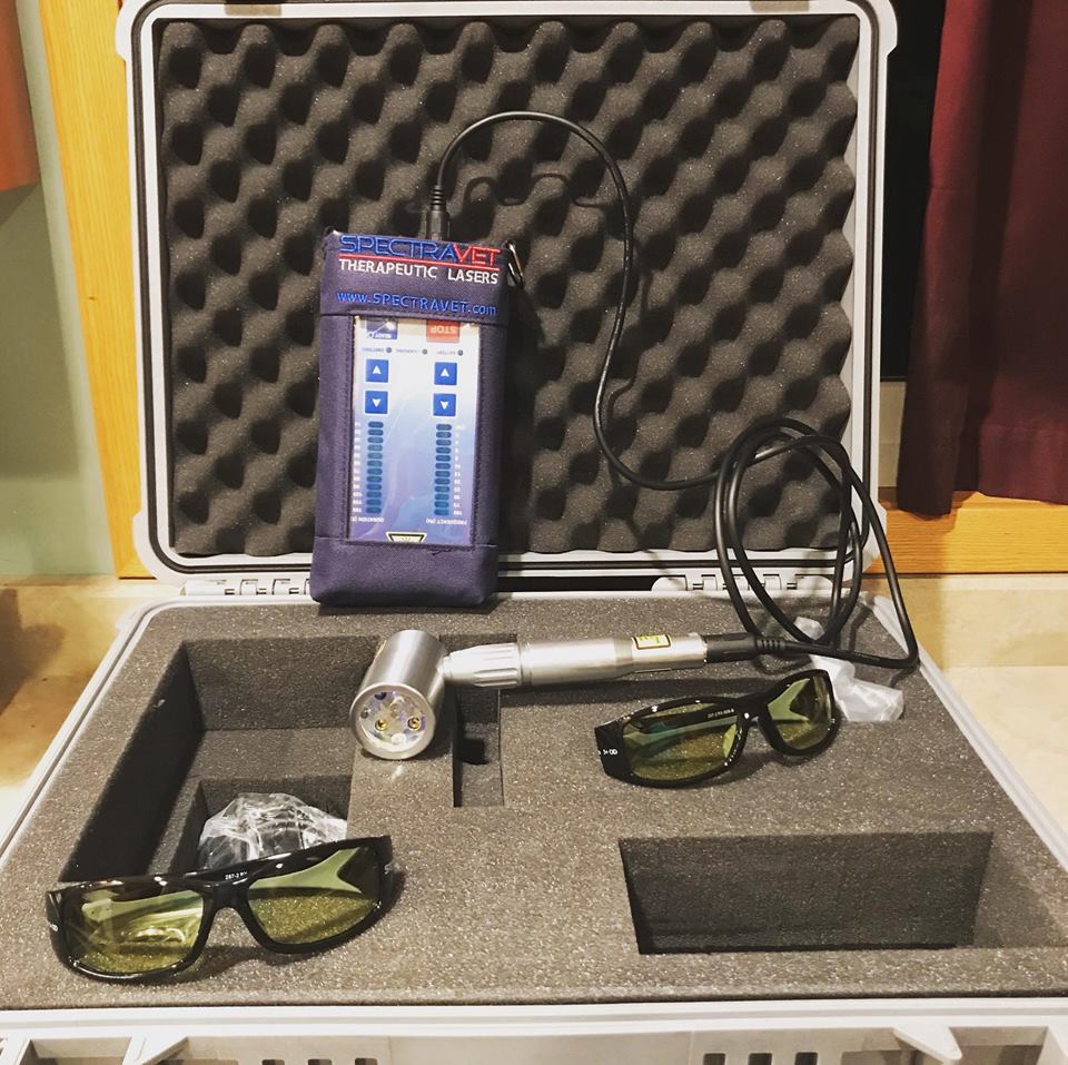 Picture laser therapy unit